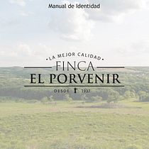 Mi Proyecto del curso: Desarrollo de un manual de identidad corporativa. Br, ing, Identit, and Design project by Daniela Pescador - 01.11.2021