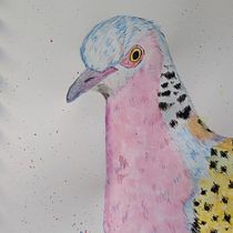 My projects in Sarah Stokes' Artistic Watercolor Techniques for Illustrating Birds course. Watercolor Painting project by cathalijn - 01.12.2021
