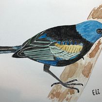 Mi Proyecto del curso: Ilustración naturalista de aves con acuarela. Ilustração naturalista projeto de Elizabeth Posada - 12.01.2021