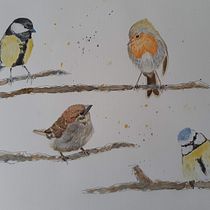 My project in Artistic Watercolor Techniques for Illustrating Birds course. Botanical Illustration, Traditional illustration, and Watercolor Painting project by Janneke Vrijdag - 01.13.2021