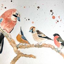 My project in Artistic Watercolor Techniques for Illustrating Birds course. Watercolor Painting project by schmittlin_delphine - 01.13.2021