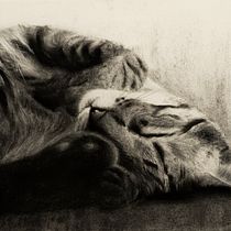 Mi Proyecto final. Artistic Drawing project by Alba Estela - 01.16.2021