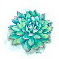 ECHEVERIA pink Ein Projekt aus dem Bereich Aquarellmalerei von Vanesa - 15.01.2021