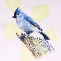 My project in Artistic Watercolor Techniques for Illustrating Birds course. Watercolor Painting project by Hayden Oliver - 01.16.2021