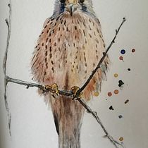 Mi Proyecto del curso: Acuarela artística para ilustración de aves. Fine Arts, and Watercolor Painting project by Veronica Carrasco - 04.10.2021