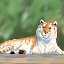 Mi Proyecto del curso: Ilustración naturalista de animales con Procreate. Un proyecto de Ilustración tradicional de sebas.gonqui94 - 17.01.2021
