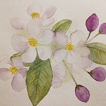 My project in Creation of Color Palettes with Watercolor course. Un progetto di Pittura ad acquerello di silvia.martelli.pro - 17.01.2021