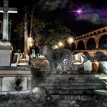Mi Proyecto del curso: Secretos del fotomontaje y el retoque creativo. Design, and Traditional illustration project by Jesus Alonso Rios Salinas - 01.18.2021