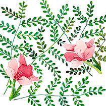 My project in Techniques applied to watercolour illustration course. Un progetto di Illustrazione botanica e Pittura ad acquerello di Renata Brito - 29.12.2020