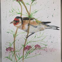 My project in Artistic Watercolor Techniques for Illustrating Birds course. Watercolor Painting project by paula - 01.18.2021