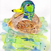 This is the final project of my 8 year old daughter who is delightful with the course. She likes the colours of this mallard duck and his happy expression.. Watercolor Painting project by Gordana Pavokovic - 01.18.2021