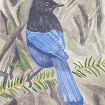 My project in Artistic Watercolor Techniques for Illustrating Birds course. Watercolor Painting project by Chris Donald - 01.19.2021