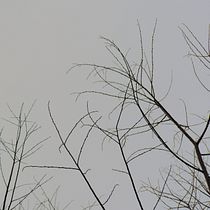 Mi Proyecto [ausencia-presencia]: fotografía narrativa . Photograph, and Fine-Art Photograph project by Christine Cavi - 01.19.2021
