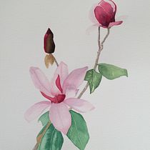 Mi Proyecto del curso: Ilustración botánica con acuarela. Ilustração tradicional projeto de marinapaje - 19.01.2021
