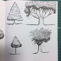 Meu projeto do curso: Desenho para principiantes nível -1. Design project by Carolina Delgado - 01.21.2021
