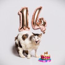 Feliz cumpleaños!. Un projet de Photographie , et Retouche photographique de Belén Rubio - 25.01.2021