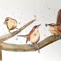 My project in Artistic Watercolor Techniques for Illustrating Birds course. Watercolor Painting project by ildeliza - 01.20.2021
