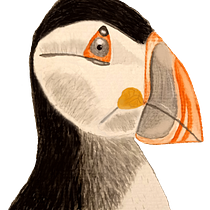 Mi Proyecto del curso: Ilustración naturalista de aves con acuarela. Ilustração naturalista projeto de Marina Aliende - 21.01.2021