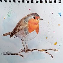 Mi Proyecto del curso: Acuarela artística para ilustración de aves: Petirrojo. Naturalistic Illustration project by vanessapeleteiro - 01.21.2021