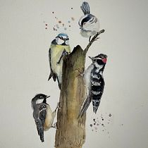 My project in Artistic Watercolor Techniques for Illustrating Birds course. Watercolor Painting project by Liz - 01.22.2021