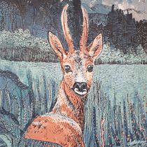My project in Creative Drawing with Ink and Gouache course. Un projet de Peinture gouache et Illustration à l'encre de lisae - 22.01.2021