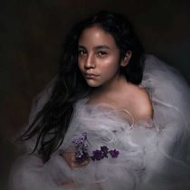 Mi Proyecto del curso: Retrato fotográfico pictórico. Un projet de Photographie de portrait de orozcojanelly - 23.01.2021