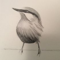 My project in Artistic Watercolor Techniques for Illustrating Birds course. Sketching project by Patty - 01.24.2021