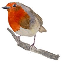 My project in Artistic Watercolor Techniques for Illustrating Birds course. Watercolor Painting project by exara1981 - 01.26.2021