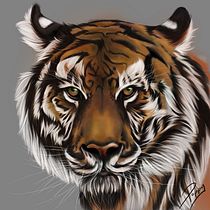 My project in Naturalist Animal Illustration with Procreate course. Un proyecto de Ilustración tradicional de Lauren S - 24.01.2021
