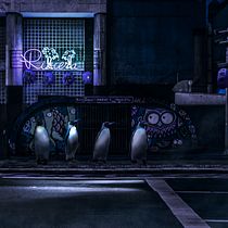 Lost Pinguin. Photomontage project by Sérgio Silva - 01.24.2021