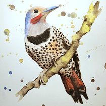 My project in Artistic Watercolor Techniques for Illustrating Birds course. Watercolor Painting project by Anjelica Brunn - 02.16.2021