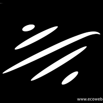 Mi Proyecto del curso: Creación de un logotipo original desde cero. Web Development, and Web Design project by Antonio Ara - 03.14.2021