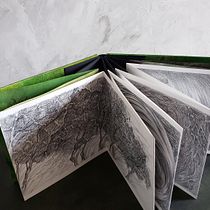 Bachianas Brasileiras n°5 Aria (Cantilena) Heitor Villa-Lobos e Ruth Valadares Corrêa. Drawing, Bookbinding, and Traditional illustration project by Rozinete Leal - 01.26.2021
