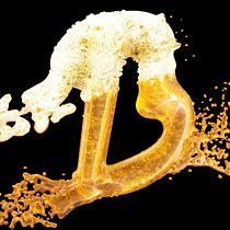 Beer Letter, mi proyecto del curso. 3D projeto de mfuentesddesign - 27.01.2021