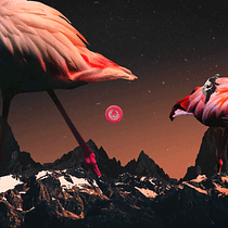 Ephemeral Echoes. Un progetto di Animazione, Collage, Animazione 2D e Video editing di ansaolmora - 27.01.2021