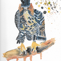 Mi Proyecto del curso: Acuarela artística para ilustración de aves. Traditional illustration, Ink Illustration, and Watercolor Painting project by Brenda Oliva - 01.29.2021