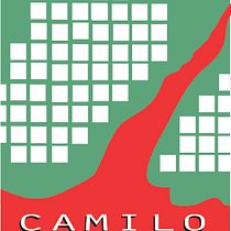 CAMILO de Paula Velasco. Writing project by Paula Velasco - 01.29.2021