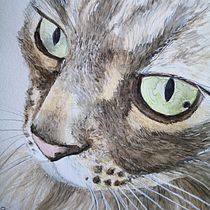 Mi gato. Traditional illustration project by Inma - 01.30.2021