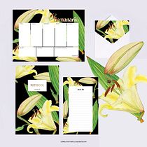 My project in Botanical Illustration with Watercolors course. Ilustração botânica projeto de Cassandra Knight - 30.01.2021