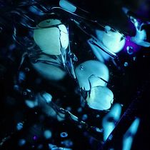 Inclusiones fluidas de hidrocarburos en cuarzo de Berbes bajo UV. Un projet de Photographie , et Photographie numérique de Eloy Joaquín Carrillo García - 30.01.2021