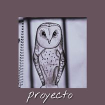 Mi Proyecto del curso: Técnicas de ilustración para desbloquear tu creatividad. Drawing project by stefanniediaz25 - 01.30.2021