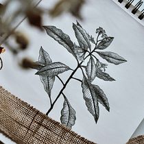 My project in Blackwork Tattoo Design course. Projekt z dziedziny  R, sunek art, st, czn, R, sunek botaniczn, Kreat, wność,  R, sunek atramentem, Ilustracja naturalist, czna, R, sunek ołówkiem, Zarządzanie portfolio, Sketchbook, Sketching i Projektowanie tatuaż użytkownika Anette Krištofová - 29.01.2021