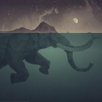 My project in Psychedelic Animation with Photoshop and After Effects course Ein Projekt aus dem Bereich Concept Art und Kreativität von avakannan - 01.02.2021
