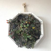 Mi Proyecto del curso: Diseño y creación de composiciones botánicas. Un progetto di Interior Design di Monica Barbosa - 01.02.2021