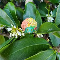 Little Critters. Acr, lic Painting, Art To, s, 3D Design, Jewelr, Design, and Painting project by Genevieve Suwara - 02.02.2021