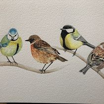 My project in Artistic Watercolor Techniques for Illustrating Birds course. Watercolor Painting project by AlexaB - 04.12.2021
