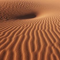 En el desierto: elogio a la amistad. Writing project by Allen Perez - 02.05.2021