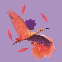 Mi Proyecto del curso: Ave feliz y romántica. Ilustração tradicional projeto de Gabriel Xelhuantzi - 04.02.2021