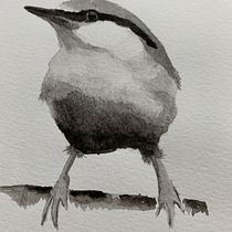 My project in Artistic Watercolor Techniques for Illustrating Birds course. Watercolor Painting project by annelies.geeraert - 02.06.2021