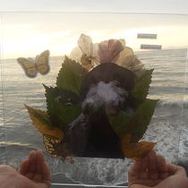 Mi Proyecto del curso: Técnicas básicas de prensado botánico inspirado en el mar.  project by Brenda Cucunuba - 02.23.2021
